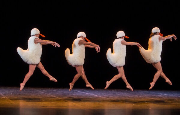 Chicos Mambo: TUTU – Peacock Theatre, London