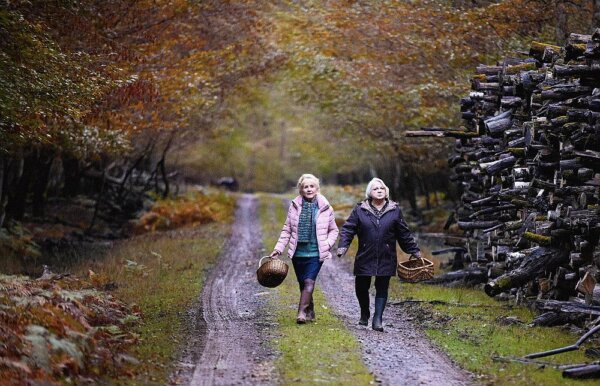 When Fall is Coming – BFI London Film Festival 2024 When-Fall-Is-Coming-still-LFF 2024