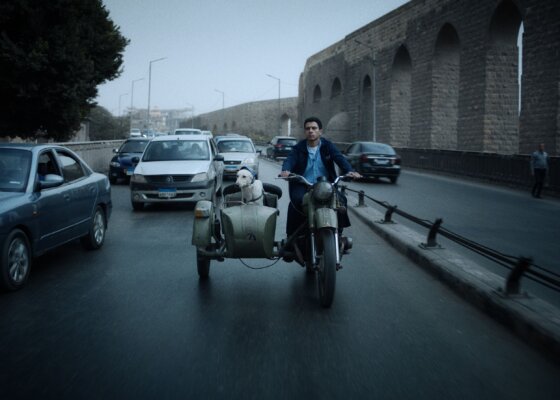 Seeking Haven for Mr. Rambo -SAFAR Film Festival 2025