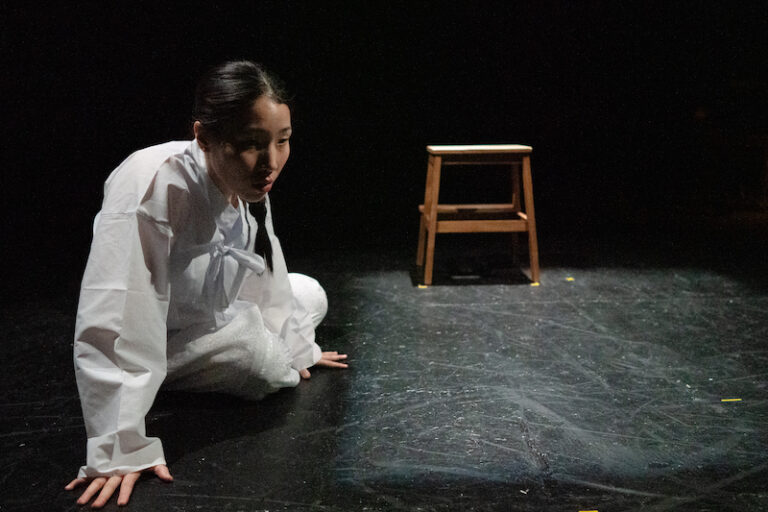 The Comfort Woman – Omnibus Theatre, London