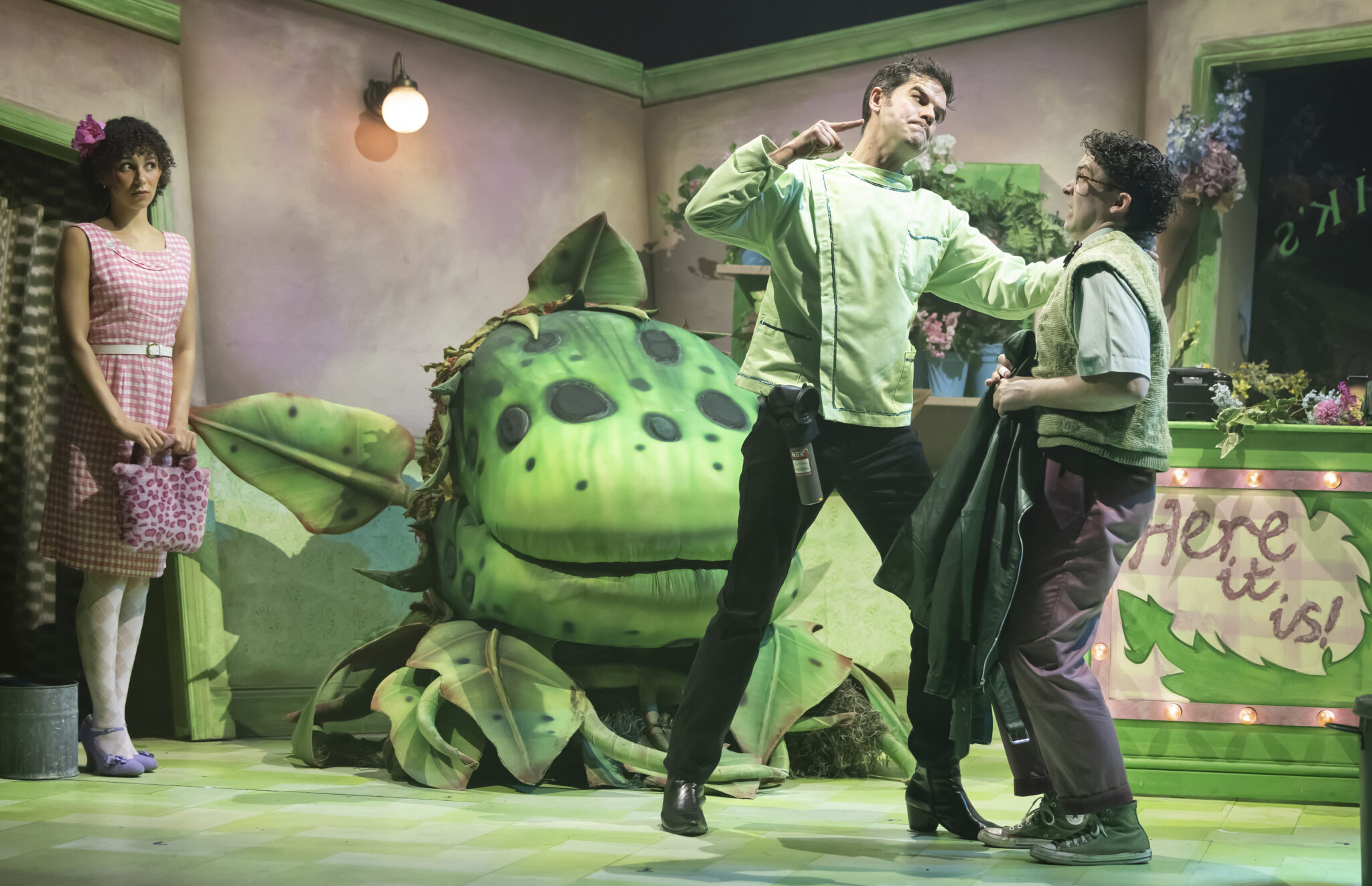Little Shop of Horrors - Northern Stage, Newcastle - The Reviews Hub