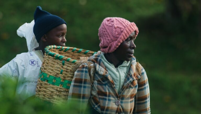 Kikuyu Land Kikuyu Land